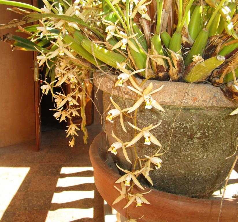 Meva Guesthouse Antananarivo Exterior foto
